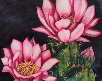 Pink Cactus Watercolor Original Art by AllKindsofArt artist Glenda Mullins