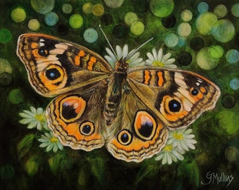 Buckeye Butterfly Colored Pencil Painting Green Bokeh Background 8 x 10 by AllKindsofArt artist Glenda Mullins