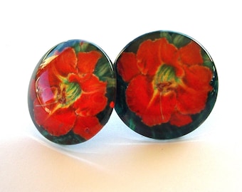 Red Orange Daylily Button Earrings Tijuana Taxi Daylily Art Glass Colored Pencil Flowers