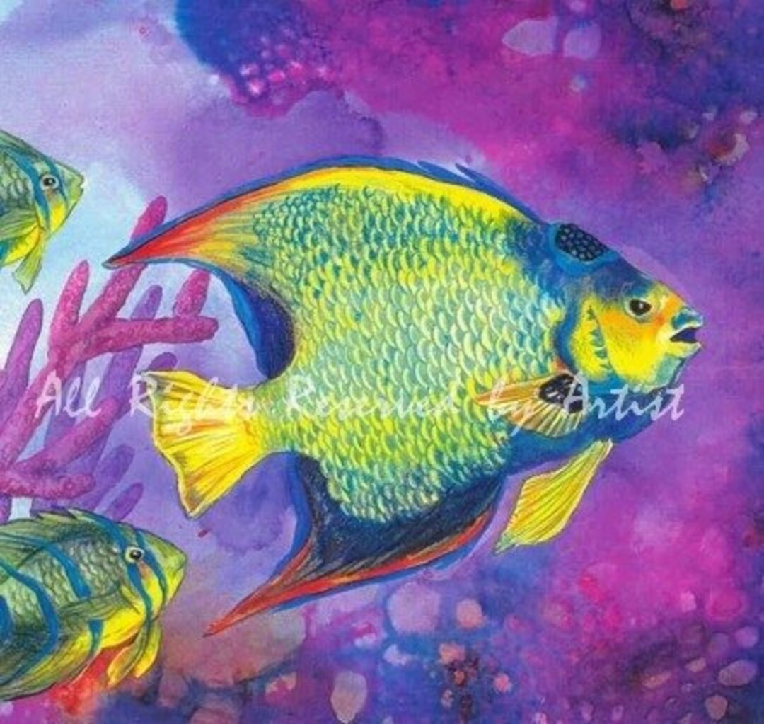 Queen Angelfish Ocean Art Framed Reproduction Watercolor Painting ...