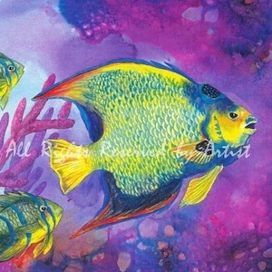 Queen Angelfish Ocean Art Framed Reproduction Watercolor Painting Undersea Reef Colored Pencil art by Glenda Mullins