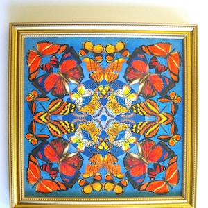 Butterfly Art Painting Butterflies in Oranges and Yellows Giclee Framed Art Print on Canvas Butterfly Lover Gift