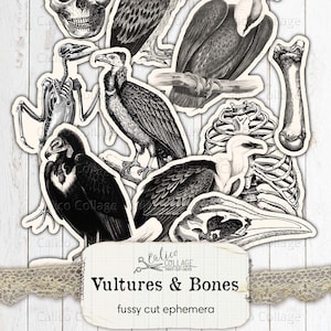 Könnte beinhalten: Ein Satz schwarz-weißer druckbarer Bilder mit Geiern und Knochen. Die Bilder sind filigrane Ausschnitte, perfekt für Scrapbooking, Kartenherstellung und andere Bastelprojekte.