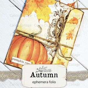 Folio du journal de pacotille d’automne, Support d’éphémère, Pack d’éphémère, Coupe difficile, Fournitures de bullet journal, Poche chargée, Album éphémère