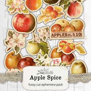 Autumn Apple Junk Journal Fussy Cut Digital Paper Kit, Printable Stationary Bullet Journal Scrapbook, Autumn Ephemera, Apple Spice