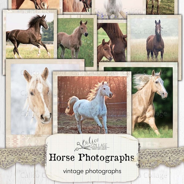 Horse Photographs for Junk Journals, Wild Horses Pictures Printable Stationery Ephemera, Horse Junk Journal Supplies, Cowgirl Digital