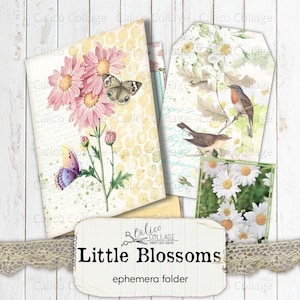 Puede incluir: Un conjunto de tarjetas de efímeras con ilustraciones de flores y pájaros. Las tarjetas están decoradas con un patrón de panal de abeja amarillo, un patrón de margarita blanca y un fondo estampado azul y blanco. Las tarjetas se titulan "Little Blossoms" y forman parte de una colección llamada "Calico Collage".