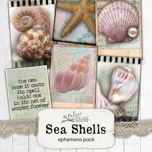 Sea Shell Junk Journal Imprimible, Ocean Small Ephemera, Vintage Seashell Ephemera Pack, Vintage Ocean Digital Bullet Journal Supplies
