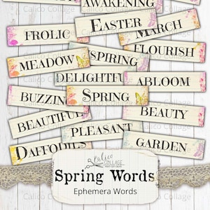 Printable Spring Ephemera Words, Junk Journal Supplies, Digital Paper Prints, Mixed Media Words, vintage Botanical Flower Scrapbook