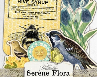 Garten Junk Journal Ephemera Pack, Serene Flora Ephemera Pack, Junk Journal Kit Fussy Cuts, Digitale Bullet Journal Supplies, Garten Ephemera