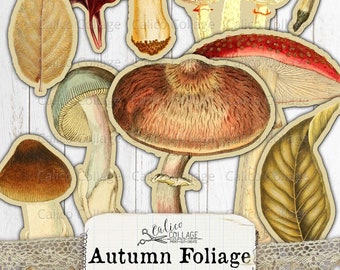 Fall Fussy Cut Ephemera, Fall Ephemera, Autumn Mushroom Foliage Collage Sheet, Junk Journal Printable, Scrapbook Autumn Ephemera,Cottagecore