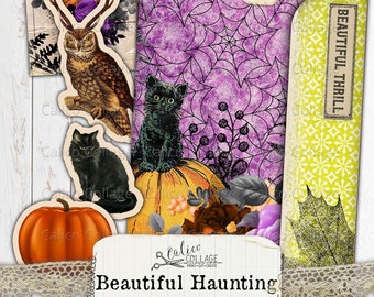 May include: A set of printable Halloween themed junk journal ephemera featuring owls, pumpkins, black cats, and a mason jar. The ephemera is printed on textured paper with a vintage aesthetic. The text "Beautiful Haunting" is printed on a banner.