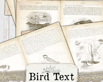 Bird Text Printable Junk Journal Pages, Digital Papers, Ephemera Pack, Spring Bird Journal, Junk Journal Kit, Journal Ephemera, Digital