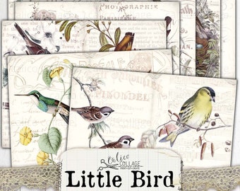 Bird Junk Journal Pages, Bird Ephemera Digital Papers, Ephemera Pack, Spring Bird Journal, Junk Journal Kit, Journal Ephemera, Digital