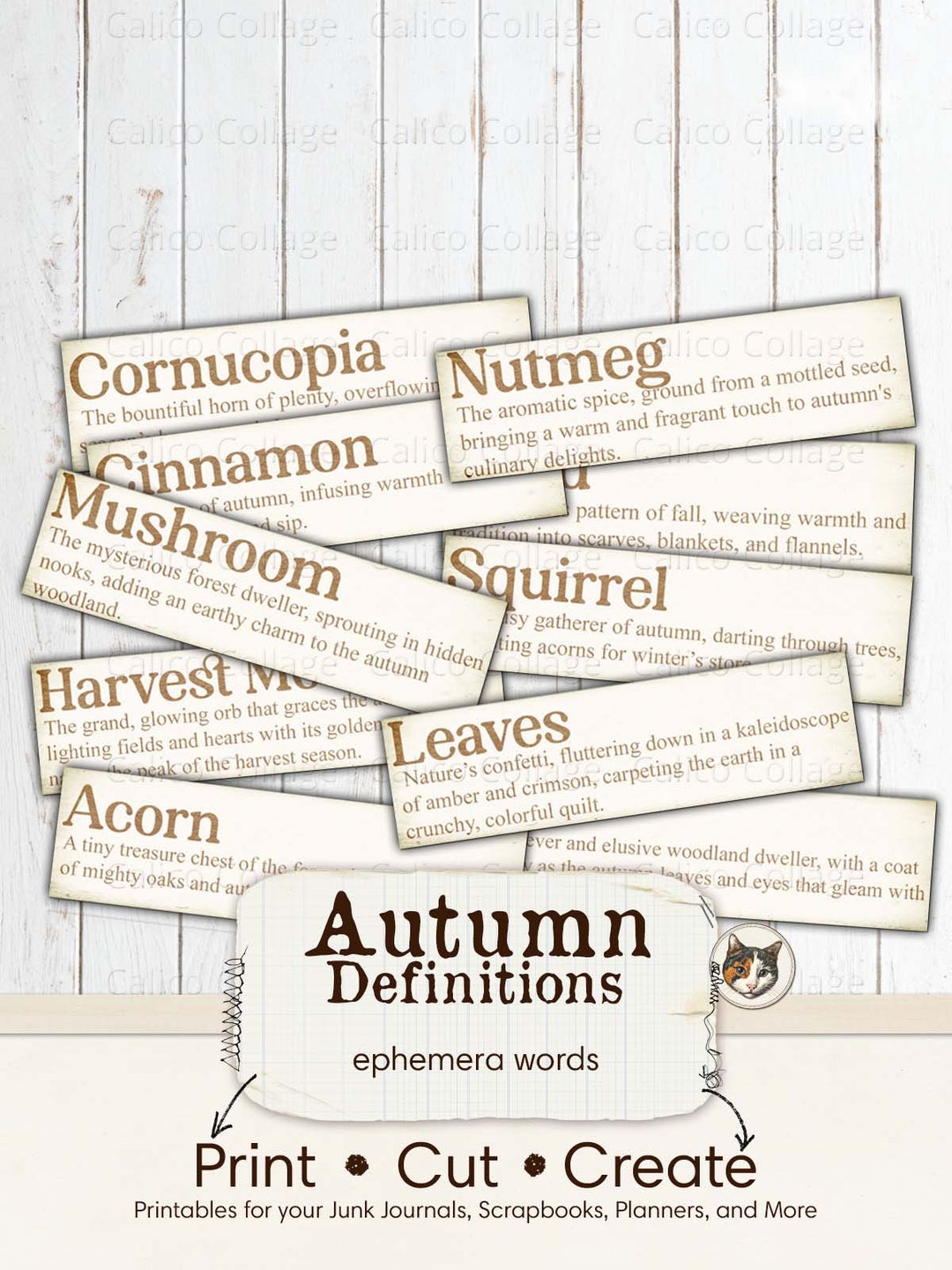 Autumn visual data 6