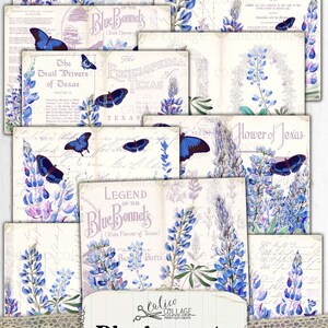 May include: A set of digital papers featuring bluebonnets, butterflies, and vintage text. The papers are perfect for scrapbooking, card making, and other paper crafts.