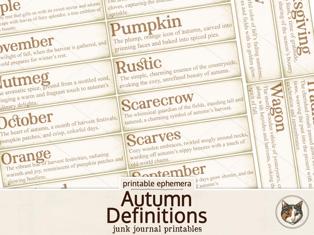 Autumn visual data 3