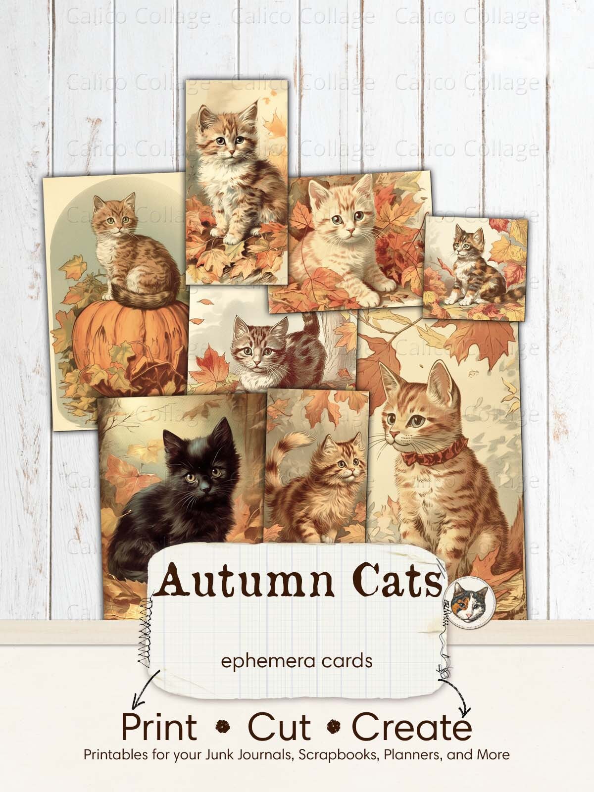 Cat Ephemera, Cat Journal Supplies, Kitten Junk Journal, Digital