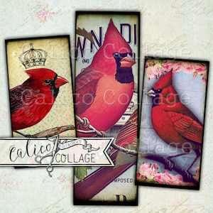 May include: A collage of three rectangular images featuring vibrant red cardinal birds. One image includes a crown, another has text, and the third is framed with pink flowers. The images are set against a vintage floral background.