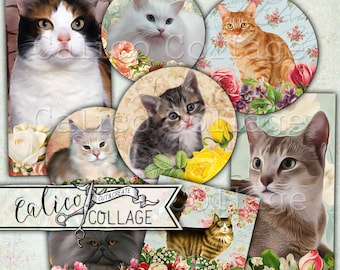 Printable Cats and Roses Collage Sheet Ephemera Pack