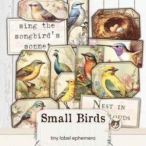 Éphémères d'oiseaux pour journaux indésirables, étiquettes éphémères imprimables, fournitures de journal indésirable, feuille de collage d'oiseaux éphémères de médias mixtes