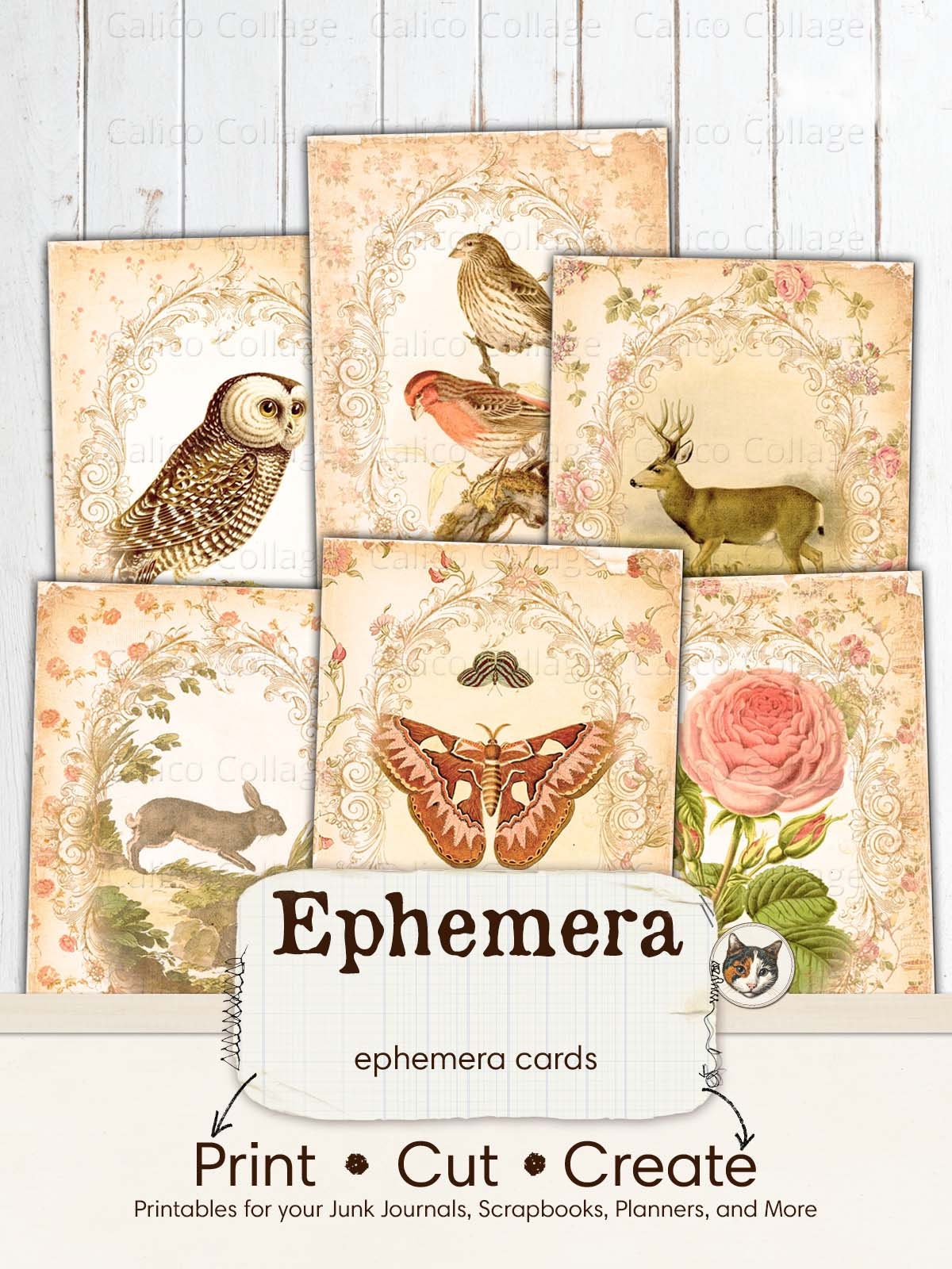 Cut & Create Hallowed Felines Ephemera Book: Designer Ephemera for Junk  Journals, Art Journals & Other Paper Crafts