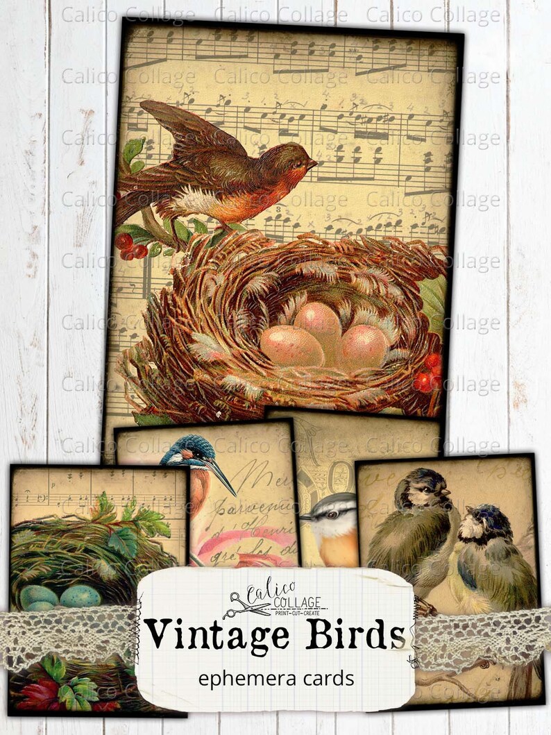 Vintage Bird Ephemera Cards Printable Junk Journal Ephemera Etsy