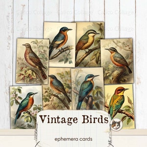 Vogel Ephemera für Junk Journals, druckbare Frühlings Ephemera Karten, Collage Sheet Ephemera Pack, Vintage Natur botanische Vögel, Scrapbook