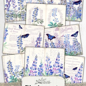 May include: A set of 10 digital printable papers featuring bluebonnet flowers, butterflies, and vintage text. The papers are perfect for scrapbooking, card making, and other paper crafts.