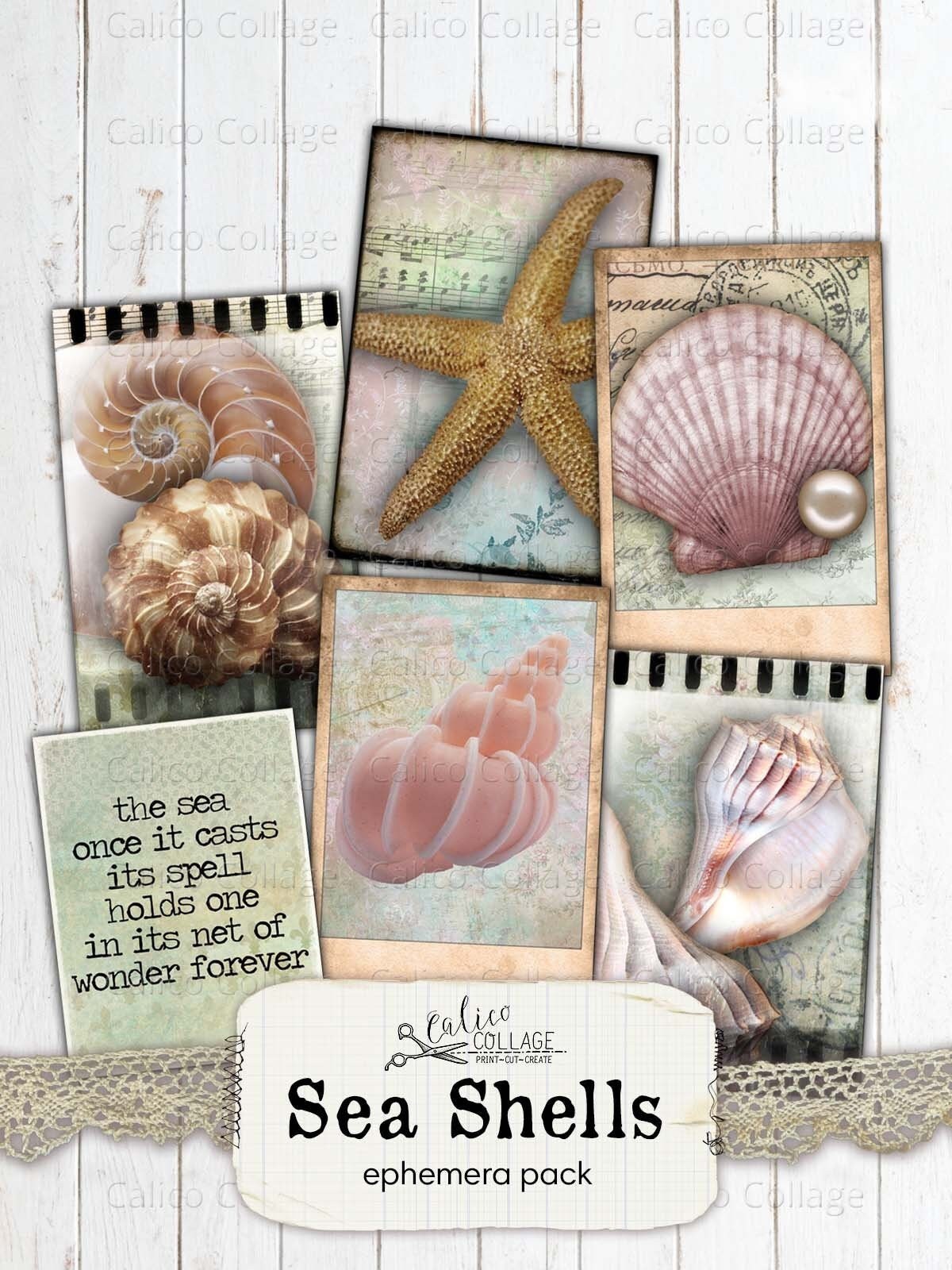Journal Shell Case Sea Shell Junk Journal Printable, Ocean Small Ephemera, Vintage ...