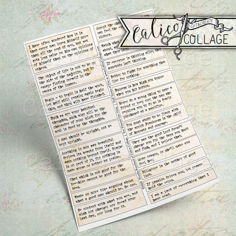 May include: A collection of vintage-style inspirational quotes printed on small, rectangular cards with a distressed, aged paper background. The quotes are about life, success, and personal growth. The cards are arranged in a grid pattern and have a rustic, vintage aesthetic.