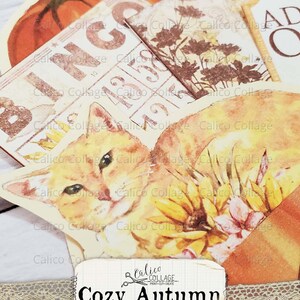 Puede incluir: Una colecci&oacute;n de ef&iacute;meras de papel con un tema oto&ntilde;al. Las ef&iacute;meras incluyen una calabaza, un gato, flores y una tarjeta de bingo. El texto "Cozy Autumn ephemera pocket" est&aacute; impreso en una etiqueta blanca.
