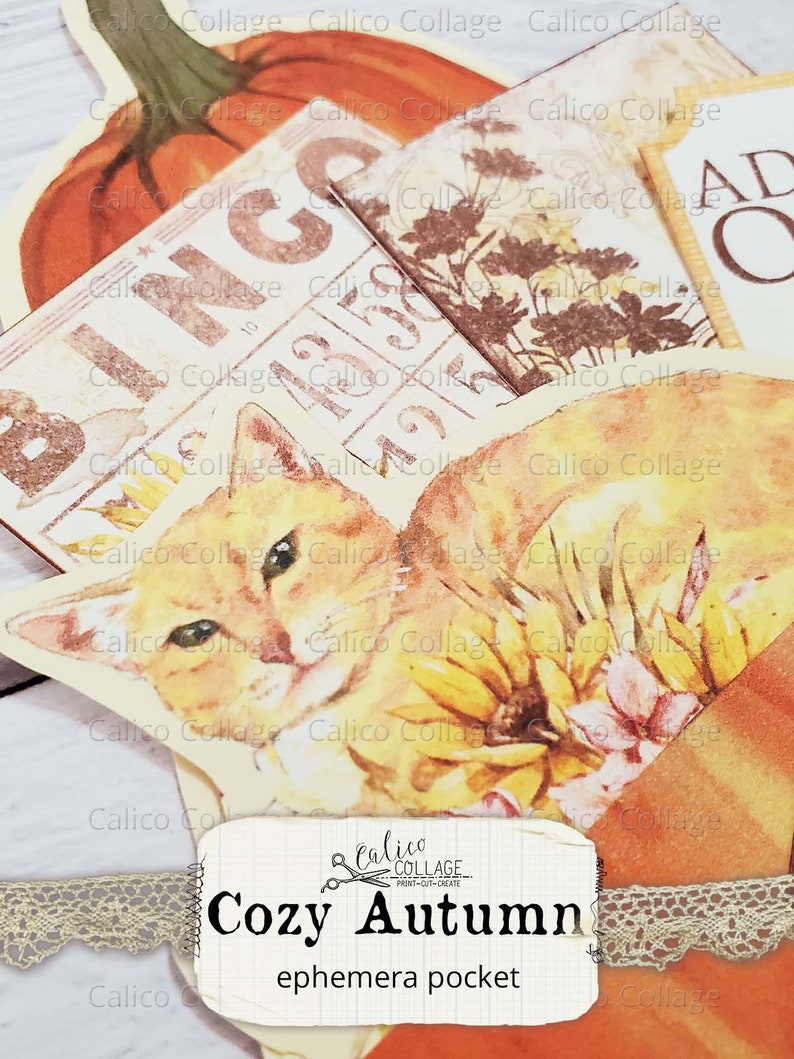 Puede incluir: Una colecci&oacute;n de ef&iacute;meras de papel con un tema oto&ntilde;al. Las ef&iacute;meras incluyen una calabaza, un gato, flores y una tarjeta de bingo. El texto "Cozy Autumn ephemera pocket" est&aacute; impreso en una etiqueta blanca.