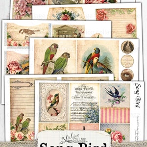 May include: A digital printable junk journal kit with a vintage aesthetic. The kit features images of birds, flowers, music, and text. The title of the kit is "Song Bird".