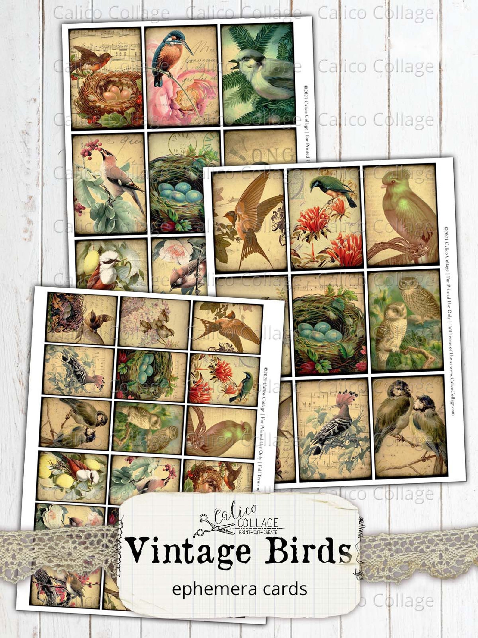 Vintage Bird Ephemera Cards Printable Junk Journal Ephemera Etsy
