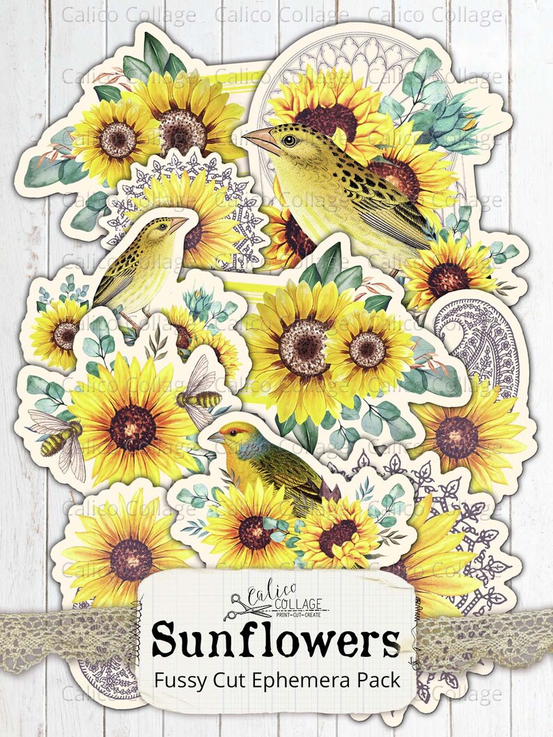 Printable Sunflower Ephemera Pack, Vintage Botanical Junk Journal Supplies, Bullet Journal, Digital Paper Prints, Scrapbook Paper image 3