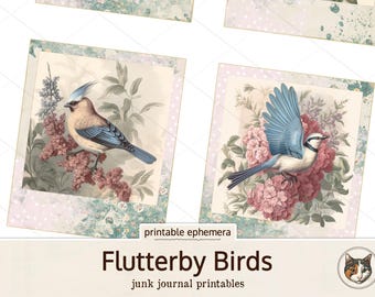 Instantáneas de aves para imprimir, fotografías imprimibles de diario basura, paquete de efímeras, fotos antiguas descoloridas, flores antiguas de Flutterby