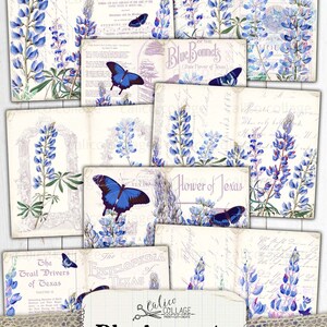 May include: A set of digital papers featuring bluebonnets, the state flower of Texas, with butterflies and vintage text. The papers are perfect for scrapbooking, card making, and other paper crafts.
