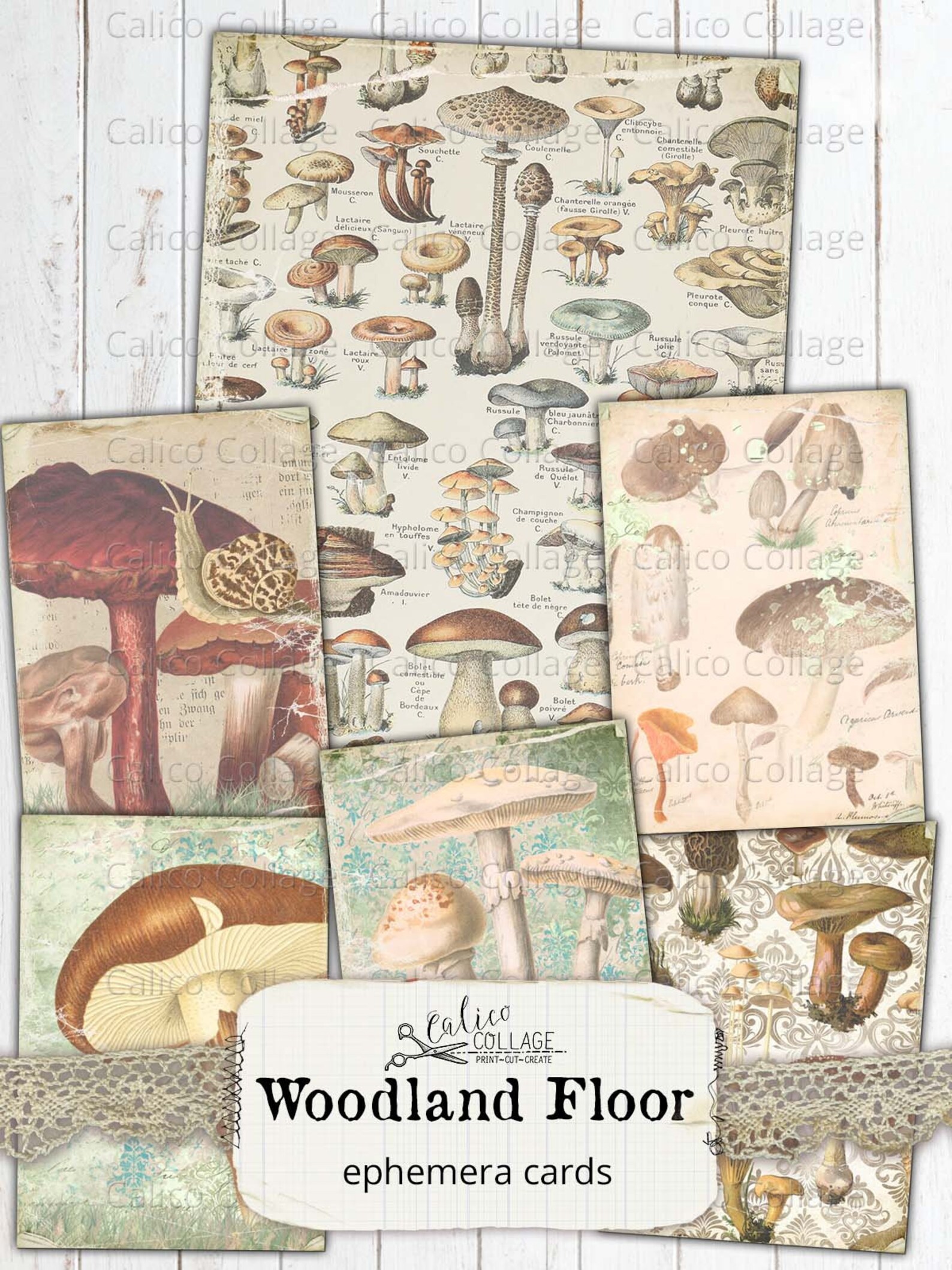 Vintage Mushroom Ephemera Cards, Printable Junk Journal Ephemera Pack ...
