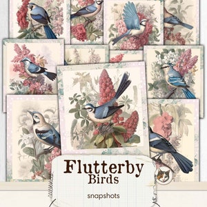 May include: A set of printable digital collage sheets featuring bluebirds perched on branches with pink and white flowers. The text "Flutterby Birds" and "snapshots" is printed on the bottom of the sheet. The text "Print Cut Create" is printed below the title. The text "Printables for your Junk Journals, Scrapbooks, Planners, and More" is printed below the text "Print Cut Create".