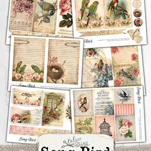 May include: A digital printable junk journal kit with a songbird theme. The kit includes images of birds, flowers, nests, cages, and musical notes. The text "Song Bird" is printed on the kit.