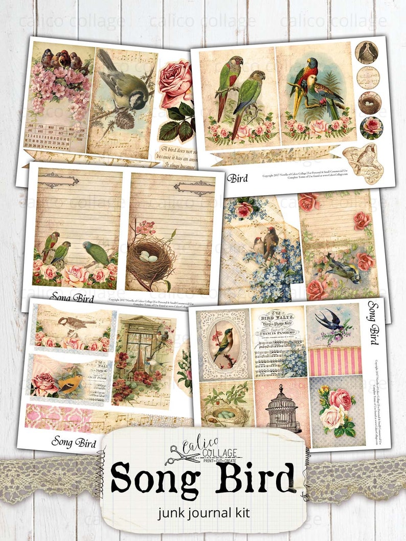 May include: A digital printable junk journal kit with a songbird theme. The kit includes images of birds, flowers, nests, cages, and musical notes. The text "Song Bird" is printed on the kit.