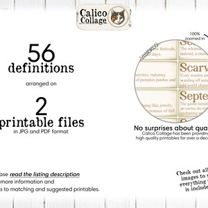 Autumn visual data 4