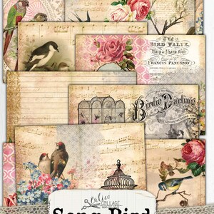 May include: A digital junk journal kit with a vintage aesthetic. The kit includes images of birds, cages, roses, musical notes, and text that reads "The Bird Waltz, Harp & Piano Forte, Francis Panormo" and "Birdie Darling".