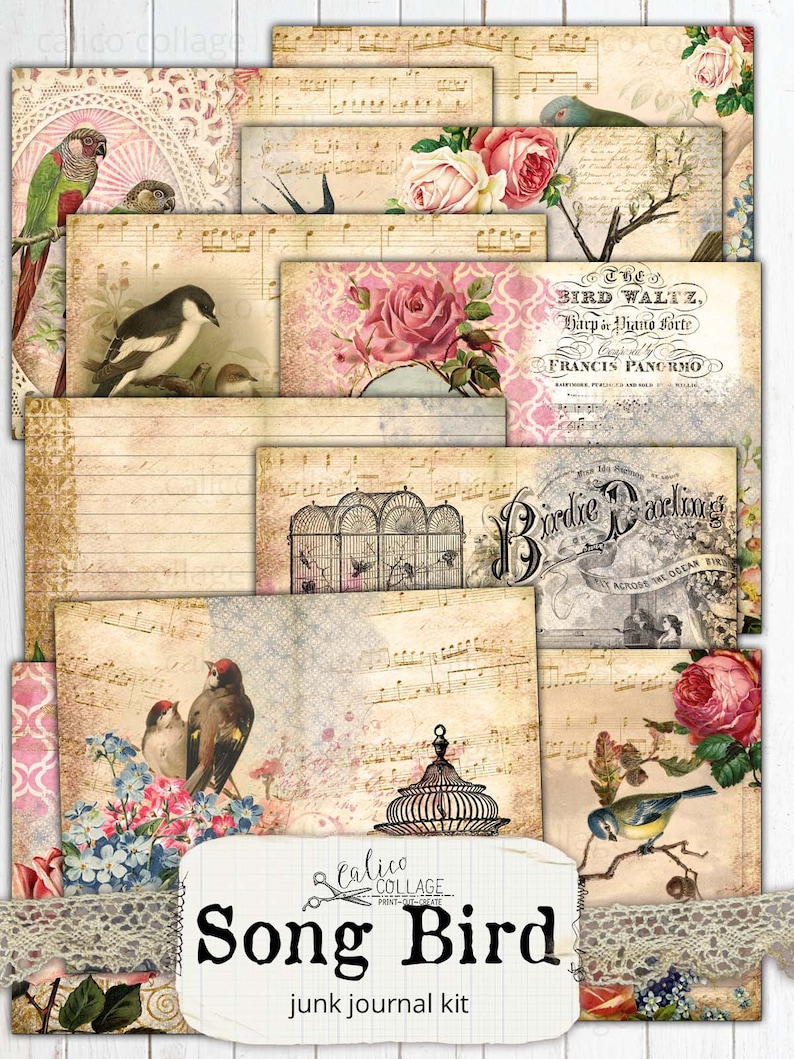May include: A digital junk journal kit with a vintage aesthetic. The kit includes images of birds, cages, roses, musical notes, and text that reads "The Bird Waltz, Harp & Piano Forte, Francis Panormo" and "Birdie Darling".