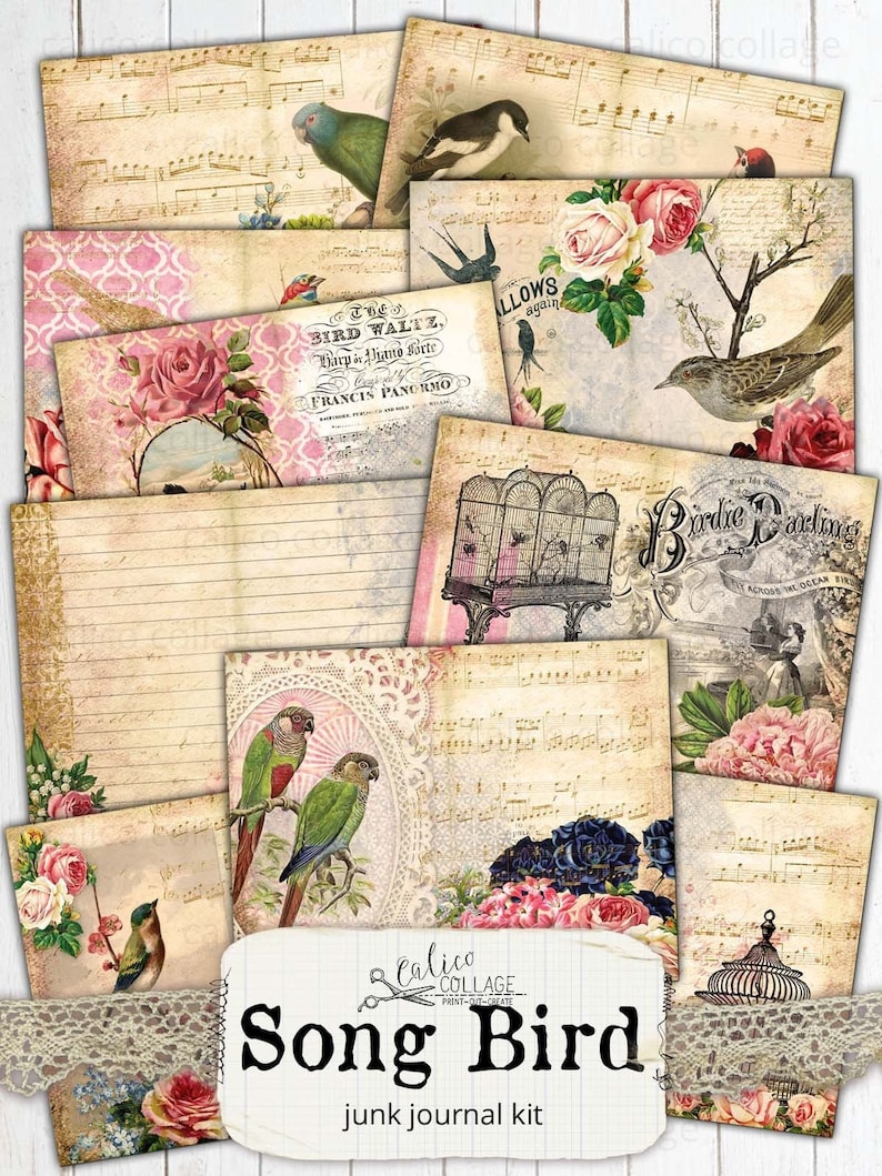 May include: A digital printable junk journal kit with a vintage aesthetic. The kit features images of birds, cages, flowers, and musical notes. The text "Song Bird" is featured in the center of the image.