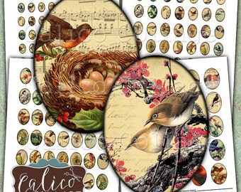 Vintage Birds, Digital Collage, Collage Sheets, Printable Cabochon, 30x40mm, 22x30mm, 18x25mm, 13x18mm, Printable, Oval Images