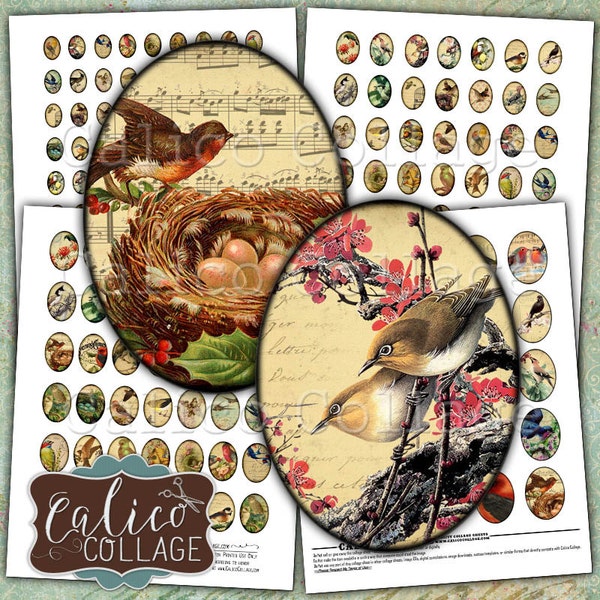 Vintage vogels, digitale collage, collage vellen, afdrukbare Cabochon, 30x40mm, 22x30mm, 18x25mm, 13x18mm, afdrukbare, ovale afbeeldingen