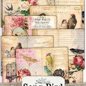 May include: A digital collage kit for junk journaling featuring vintage-style images of birds, flowers, and musical notes. The kit includes the text "Song Bird" and "Calico Collage".