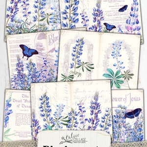 May include: A set of printable digital papers featuring bluebonnets, butterflies, and vintage text. The papers are perfect for scrapbooking, card making, and other paper crafts. The papers are in a vintage style and feature a variety of bluebonnets, butterflies, and text.